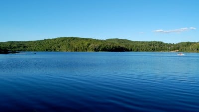 A still blue lake with no waves. The land in the distance is covered in evergreen trees.