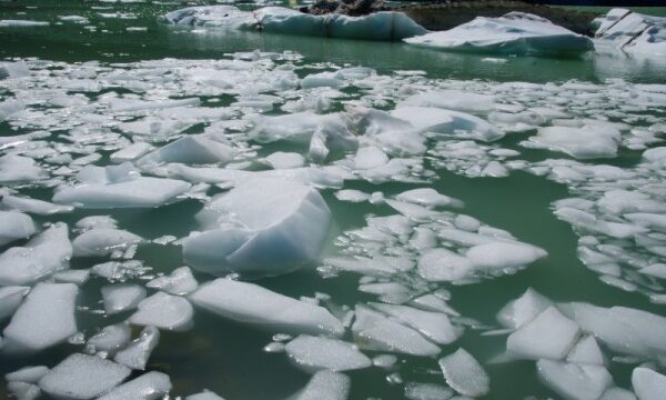 Large chunks of ice break up and float in the water.