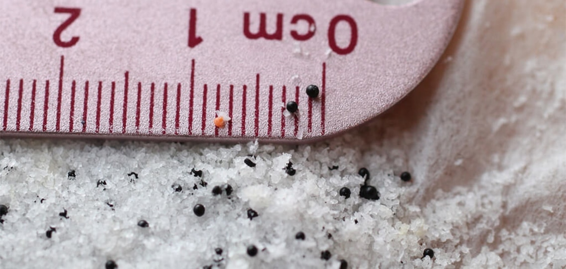 Tiny microbead plastics sit next to a ruler of 1 centimeter. The beads are only 1 millimeter in size.