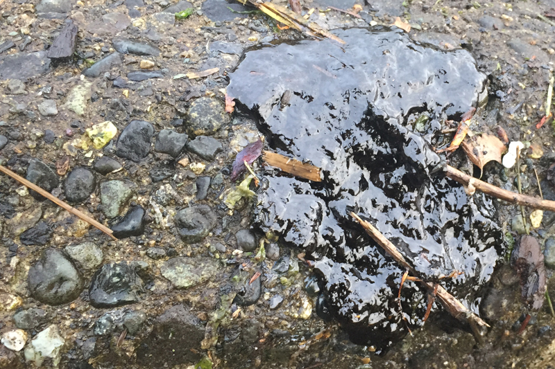 A thick sludge patch sits on the rocky ground.