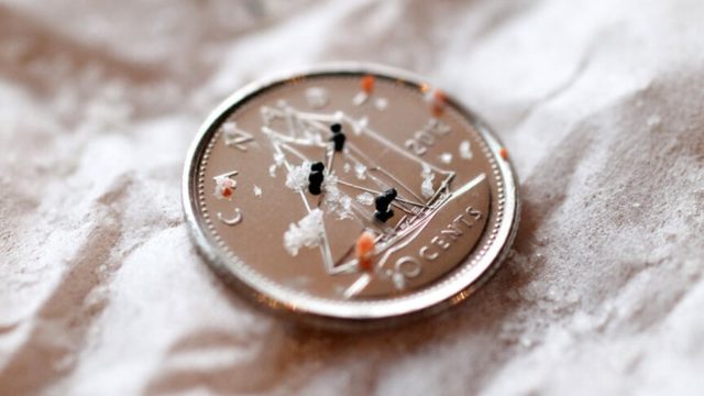 Tiny microbeads sit on a Canadian dime coin.