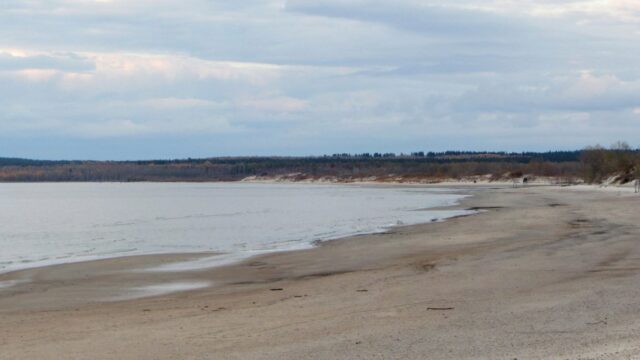 A sandy beach next to still, grey water.