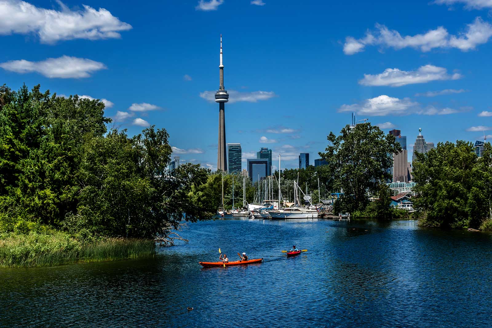 2 kayaks are paddled through water surrounded by trees. In the distance, the CN tower and Toronto buildings stand.