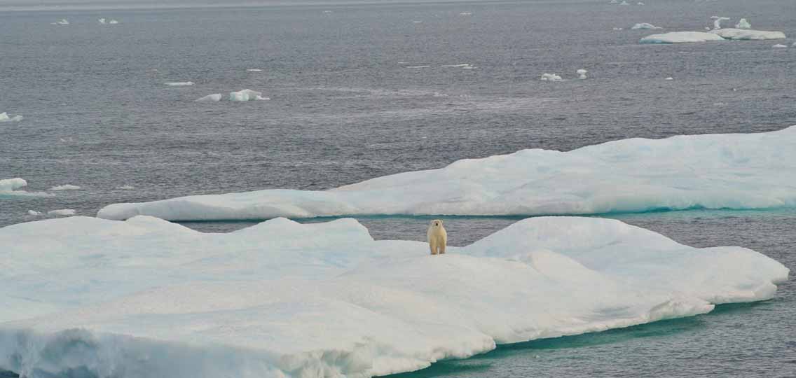 An aerial view of ice in water. A polar bear in the distance stands on the snowy ice.