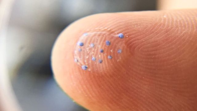 Tiny microbeads sit in a water droplet on the pad of a human finger