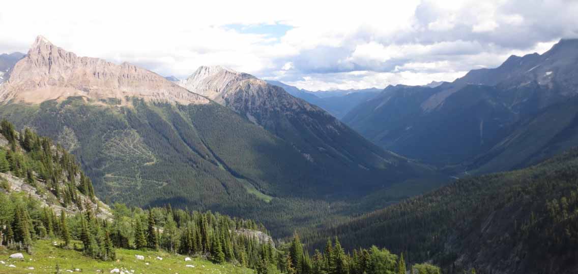 A green valley with trees sits below huge mountains that stretch into the distance.