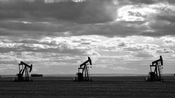 black and white oil pumps stand in a wide field.