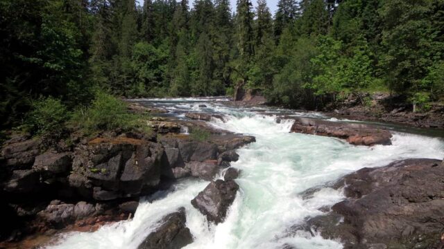 White rapid water falls down a rocky waterfall surrounded by evergreen trees.