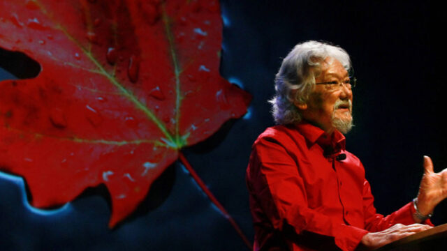 David Suzuki speaks and stands against a maple leaf background. He wears a red shirt and has white hair and a beard.