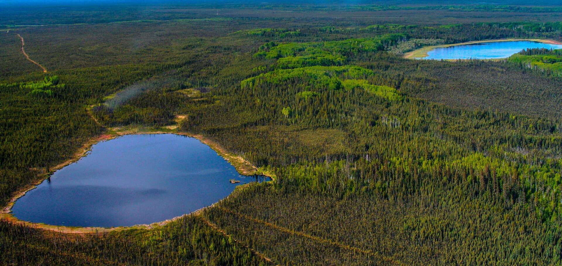 An aerial view of two blue lakes separated by a large evergreen forest.