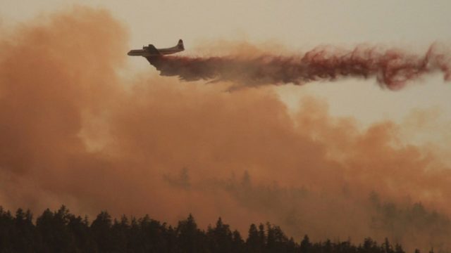 Firefighting plane douses forest fire flames