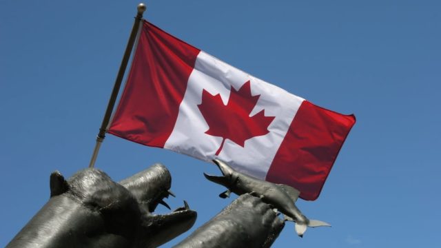 A statue of a bear with a salmon below a Canadian flag.