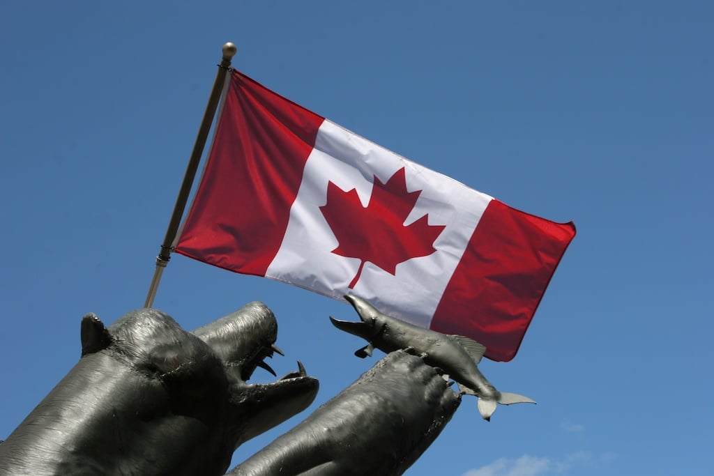 A statue of a bear with a salmon below a Canadian flag.