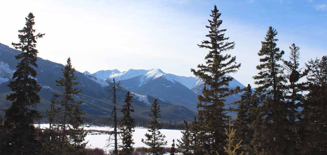 Evergreen trees stand in the foreground. Snow covered mountains stand in the background.