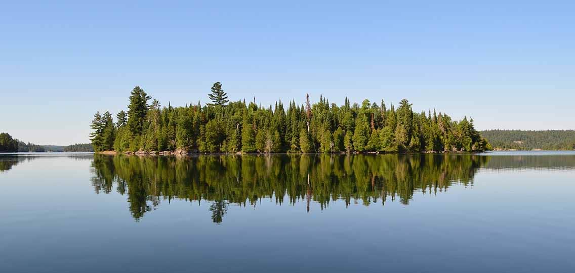 A small island of evergreen trees in the middle of a still lake.