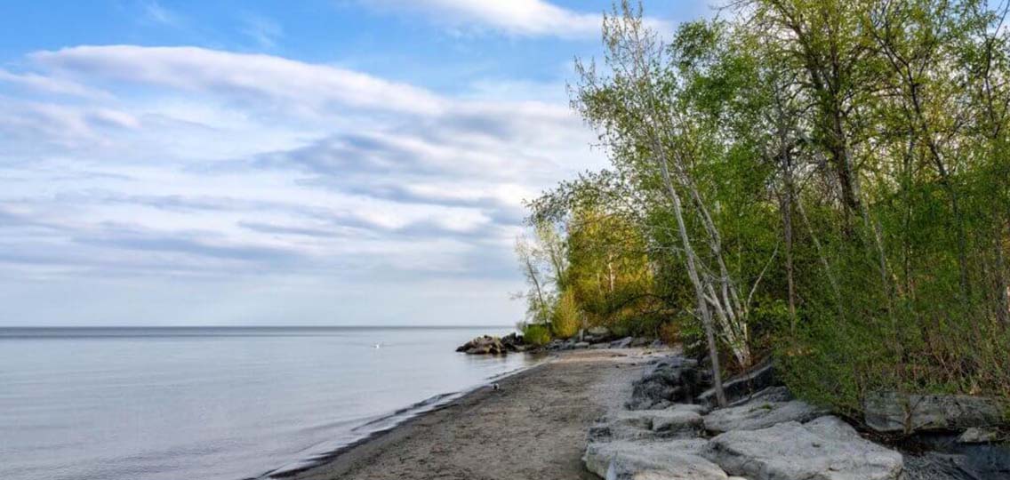 A sandy shore with rocks and green trees are next to a body of water.
