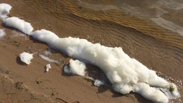 White foam sits on a sandy beach shore line.