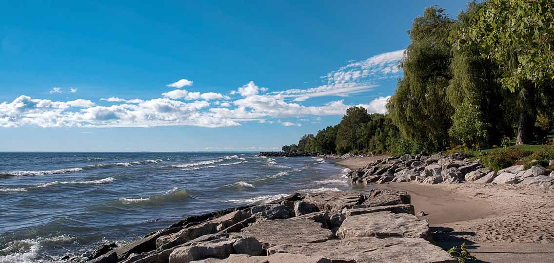 A rocky shoreline with trees in the distance. Waves from the water come toward the shore.