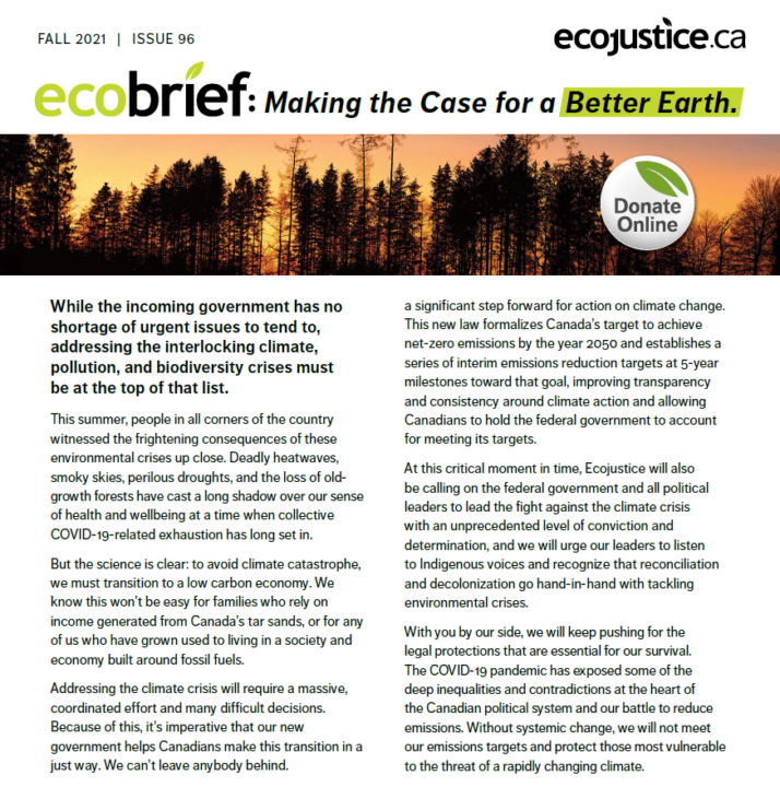 Ecobrief newsletter issue 96 fall 2021