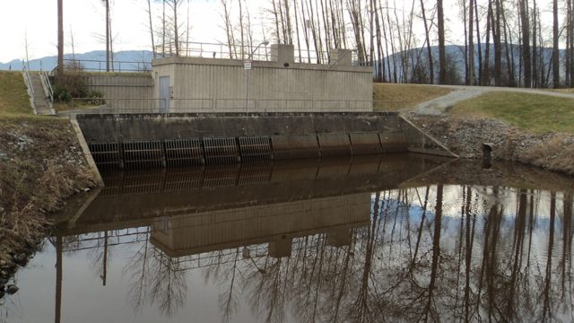 Kennedy Pump Station in Pitt Meadows poses threat to salmon