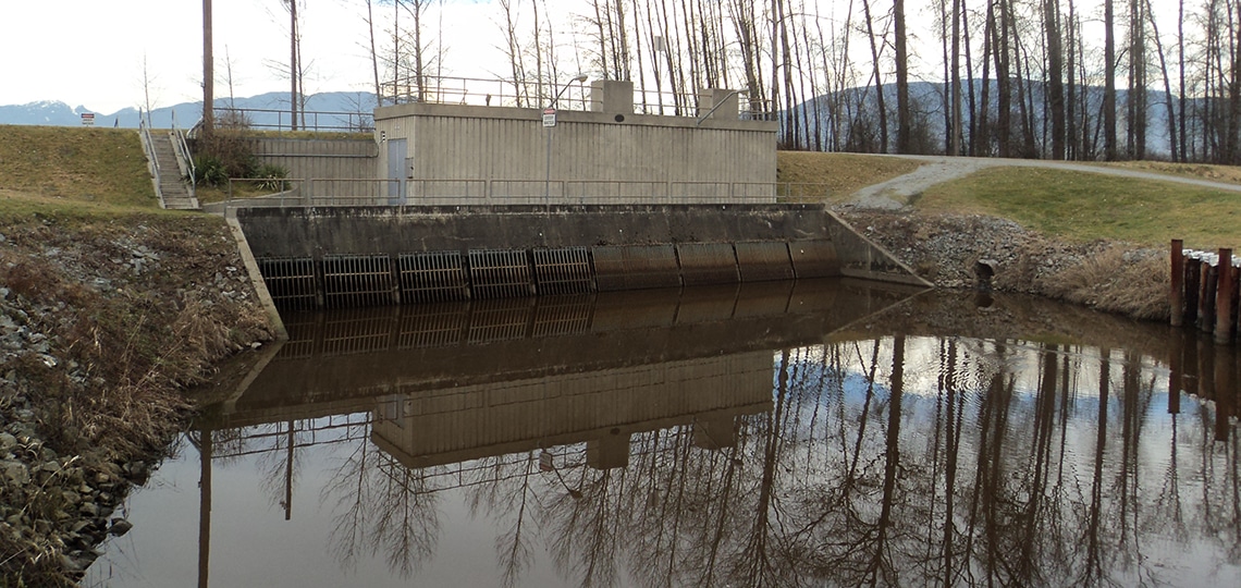 Kennedy Pump Station in Pitt Meadows poses threat to salmon