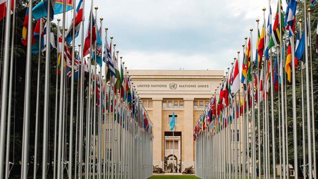 Many flags of countries on poles create a pathway to the United Nations building.
