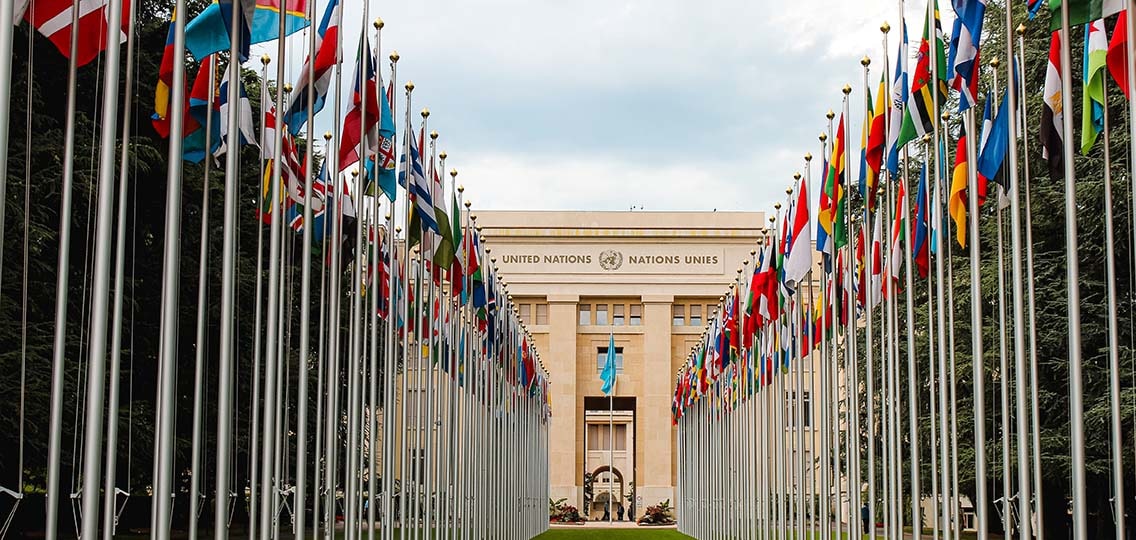 Many flags of countries on poles create a pathway to the United Nations building.