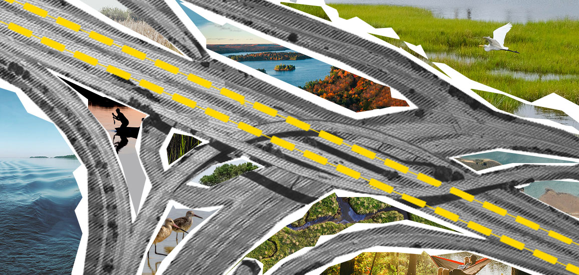A mixed media collage of winding highways is placed over top of images of the water, a marsh, and trees.