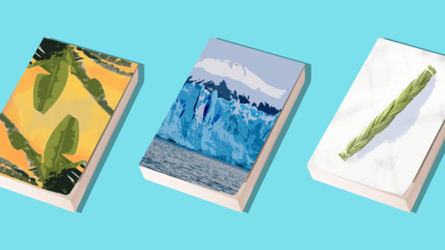 Illustration of 3 book covers. One with a leaf. One with a glacier and one with braided grass.