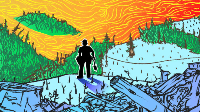 Hand drawn illustration a person stands near cut down trees and stacked logs