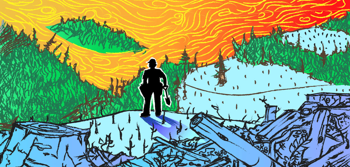 Colourful drawing of tree planting in a clearcut