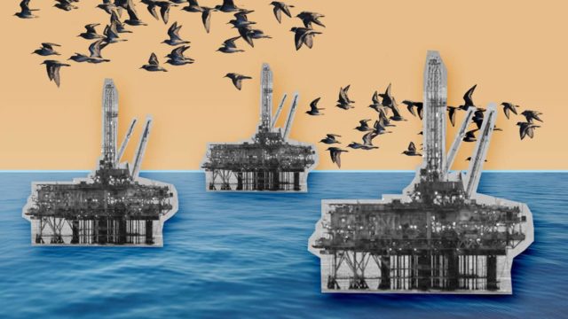 A mixed media collage has oil rigs placed on a photo of water. An illustration of birds migrating is placed on top.