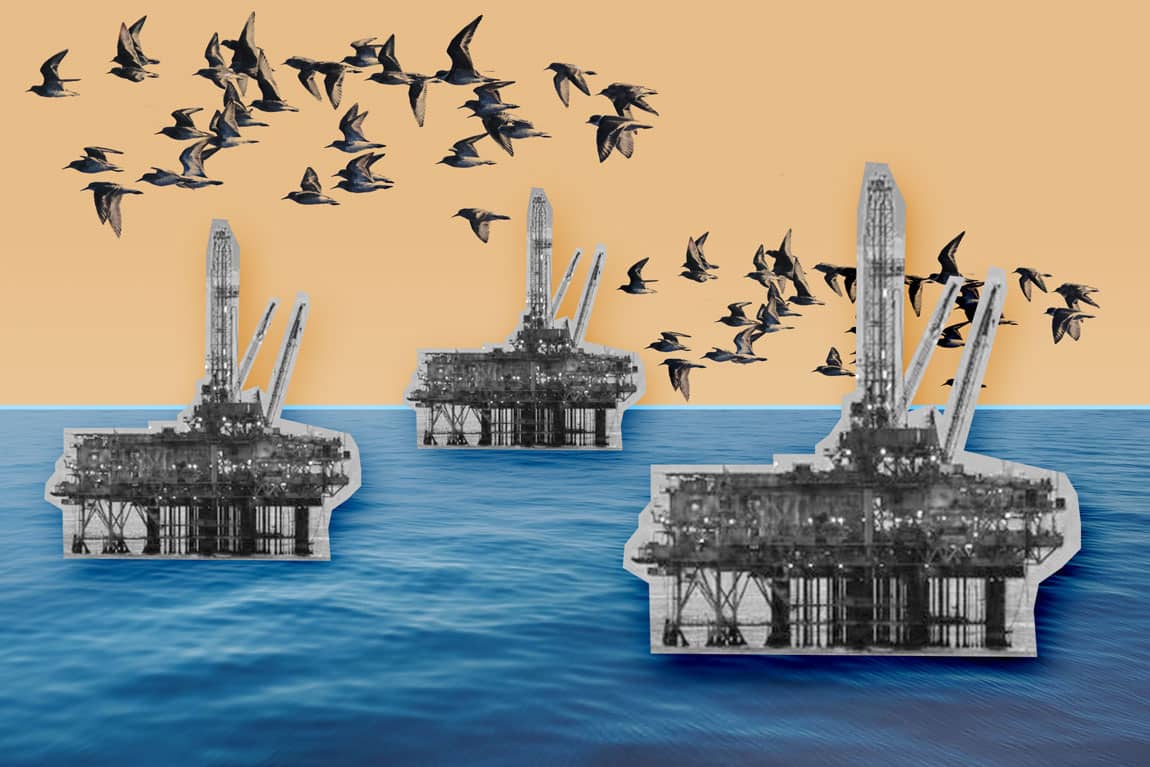 Offshore oil and gas rigs overlay water with seabirds flying over a brown sky.