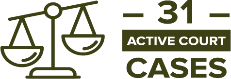 31 Active Court Cases