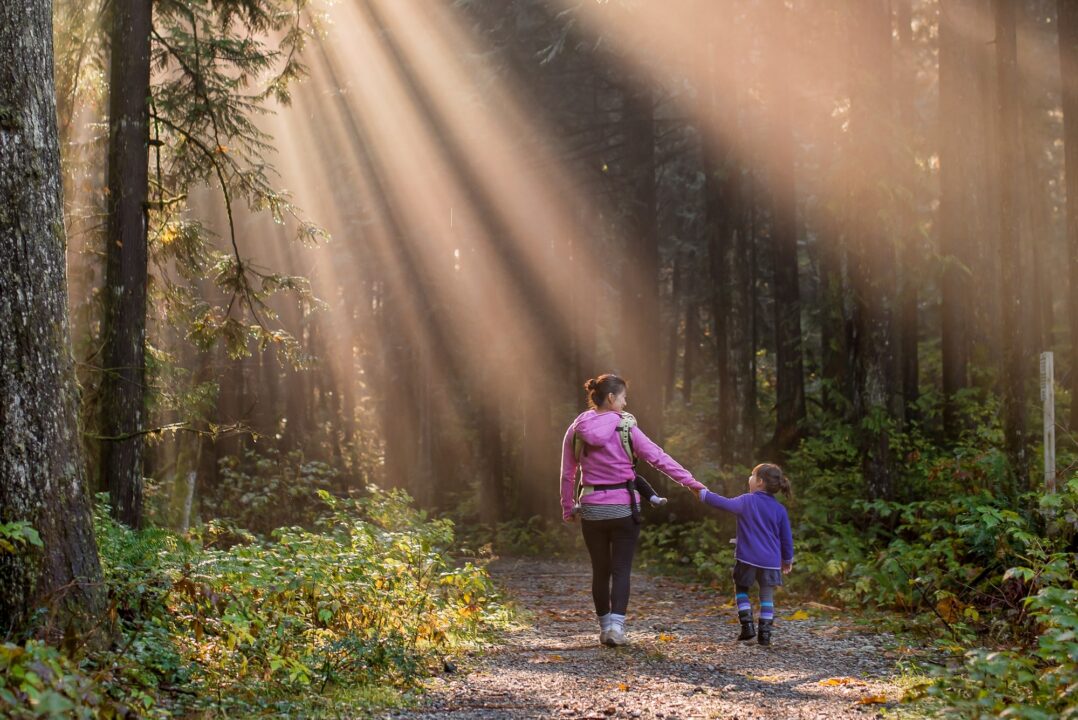 A woman and child hold hands as they walk through a sunlit forest.