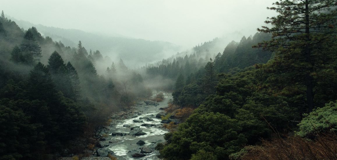 A dark forest has a river that runs through. Grey fog covers the distant mountains.