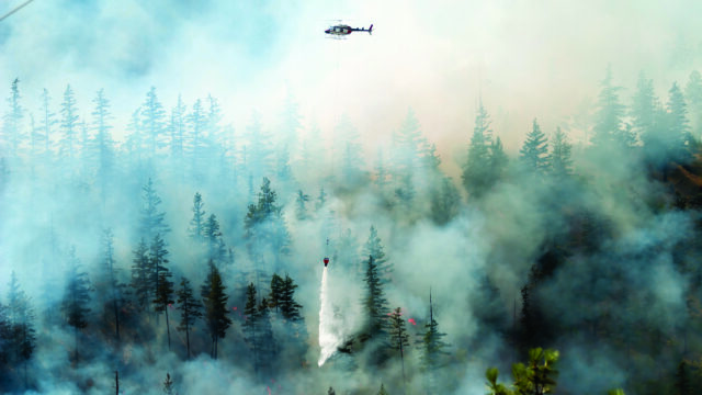 A helicopter flies through smoke and drops water over a wildfire in a forest