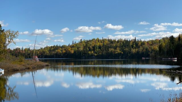 A still lake reflects a forest of trees and blue sky with some clouds.