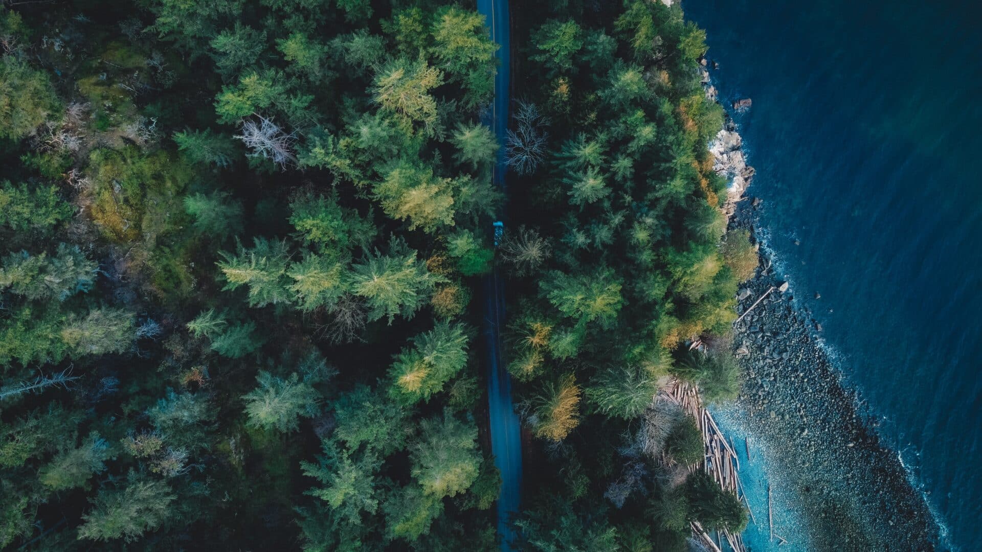 Ariel view of the Sunshine coast with the forests, road and beach.