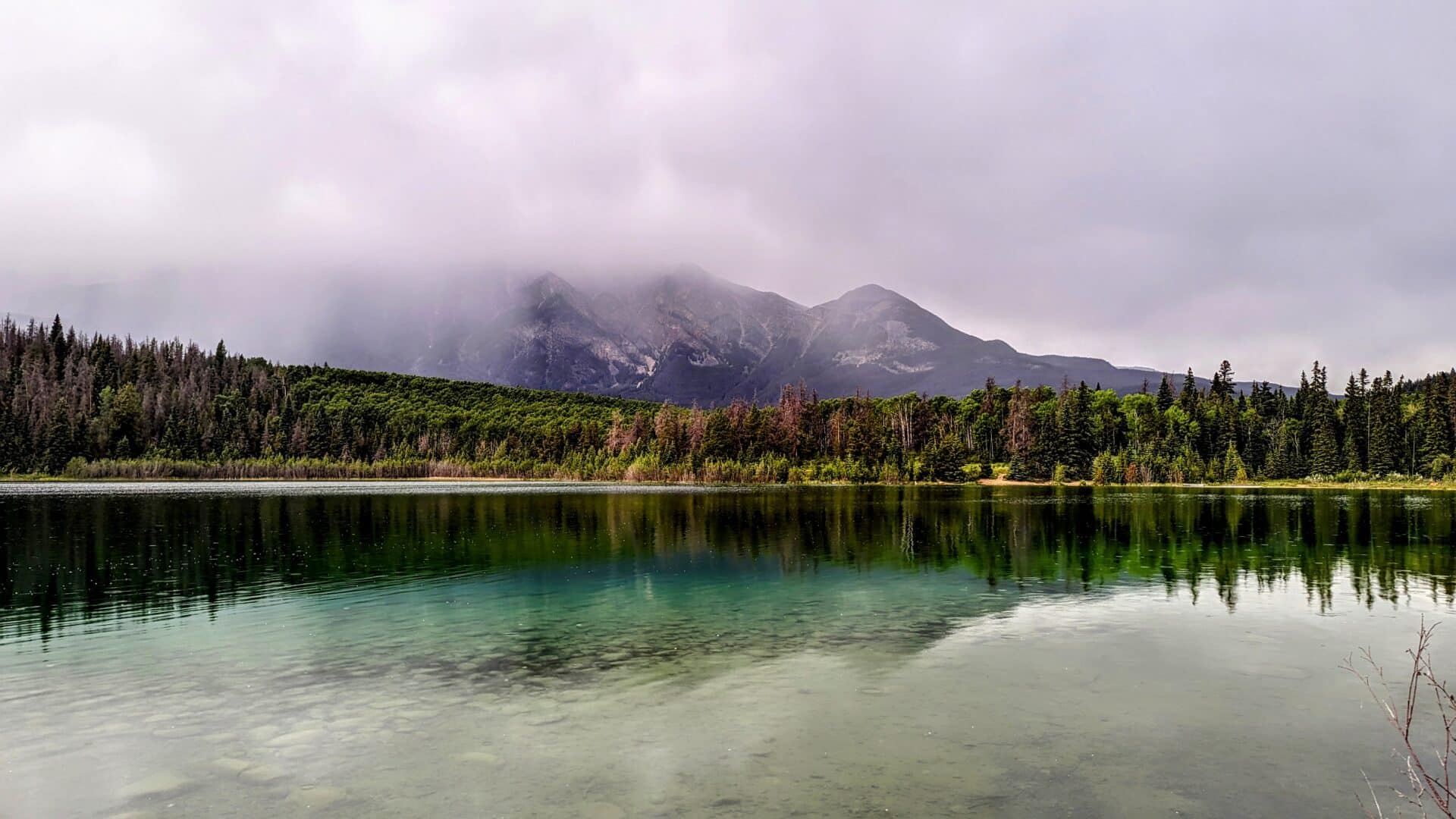 A lake reflects a line of trees and mountains on a cloudy day.