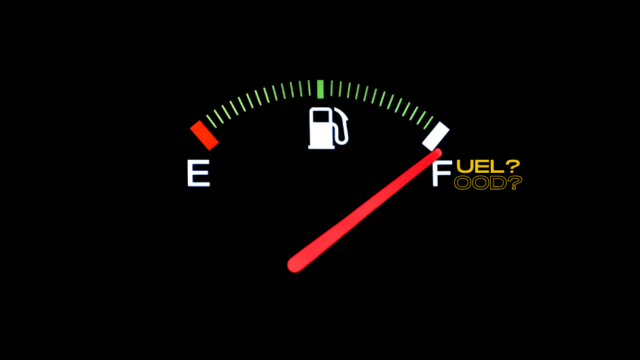A full fuel gauge in front of a black background. The image reads