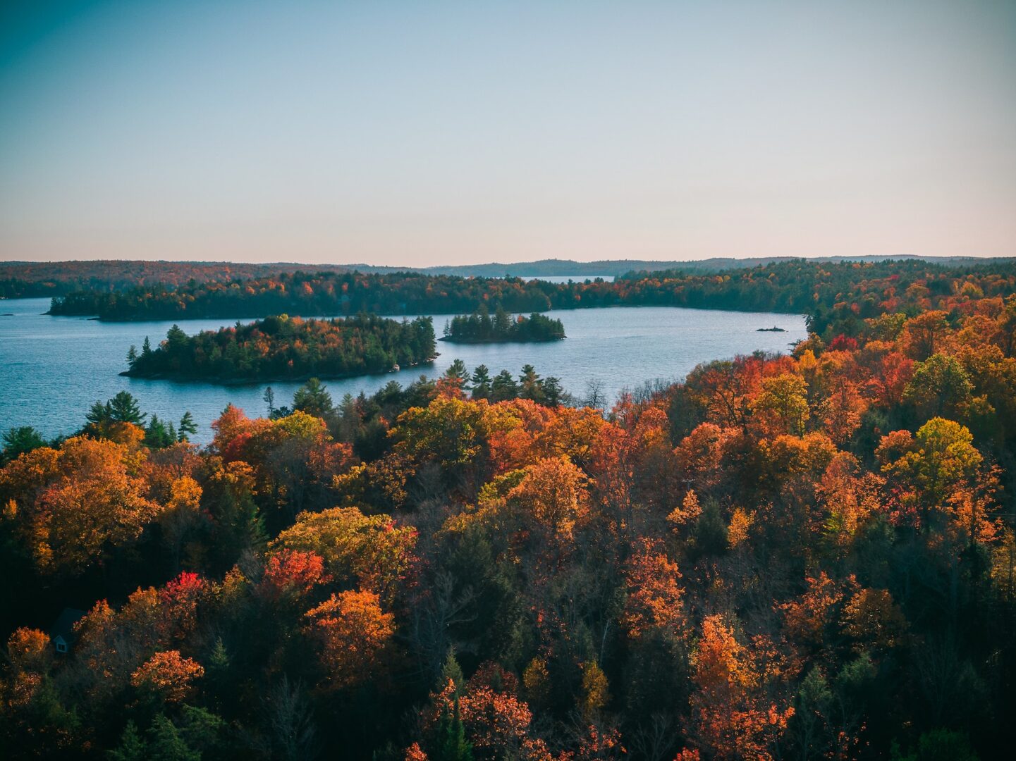 Colourful fall forest in Ontario with blue lake in background.