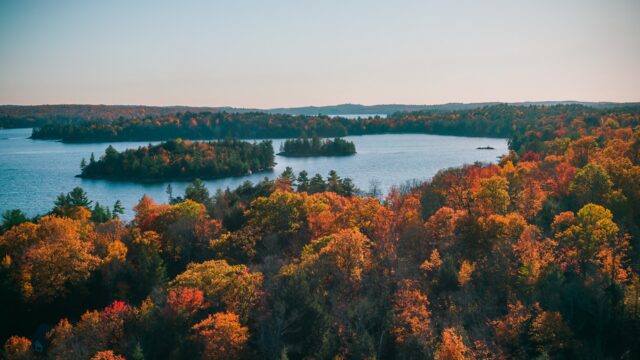 Colourful fall forest in Ontario with blue lake in background.