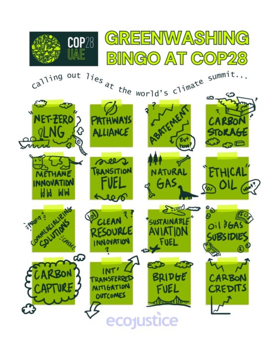Bingo card showing several greenwashing terms that are heard at COP28