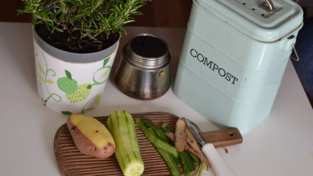 green plant on a white and purple floral ceramic pot. Also a cutting board with peeled vegetables and a compost bin.