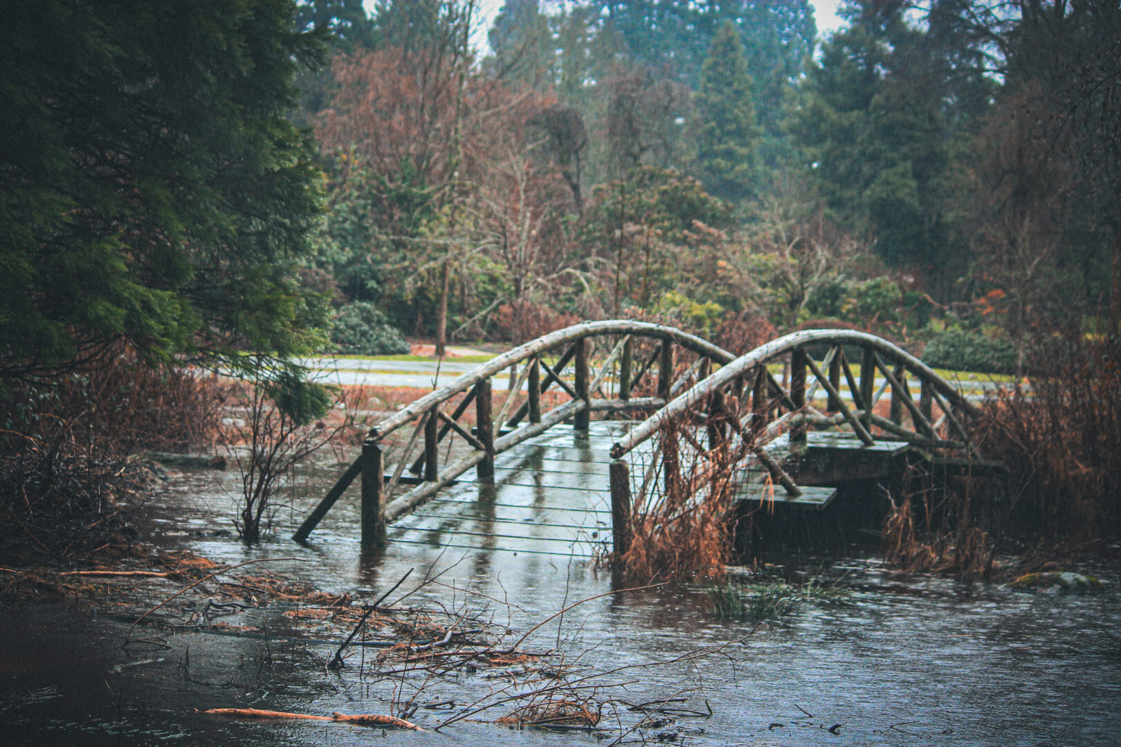 Landscape of the flooded wetland in Stanley Park