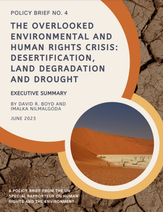 An image of the UN report on desertification showing cracked earth.  